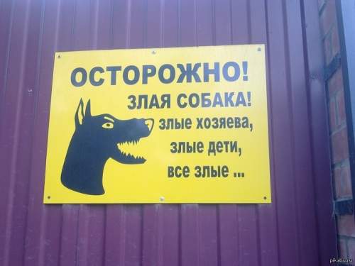 Злая собака